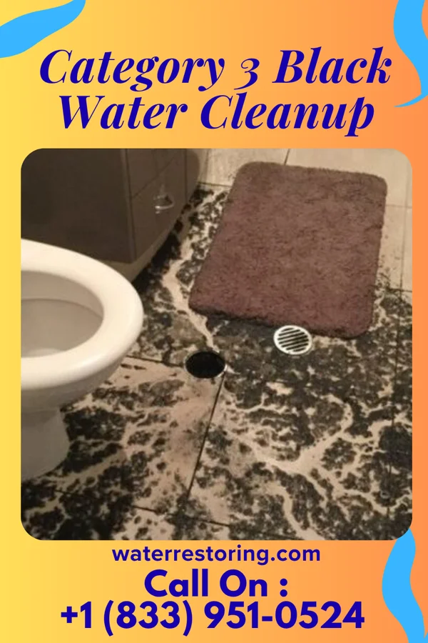 Category 3 Black Water Cleanup in Casper Mountain, WY