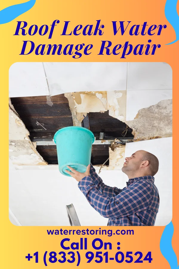 Roof Leak Water Damage Repair in Casper Mountain, WY
